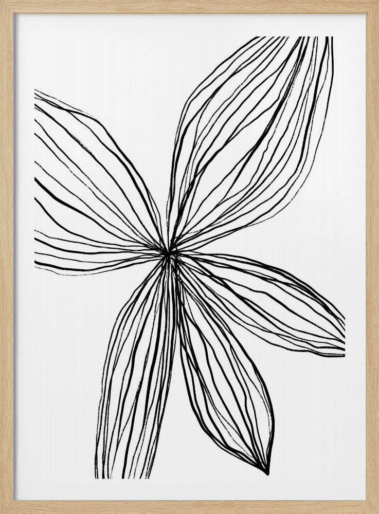 Elegante Blütenblätter | Poster