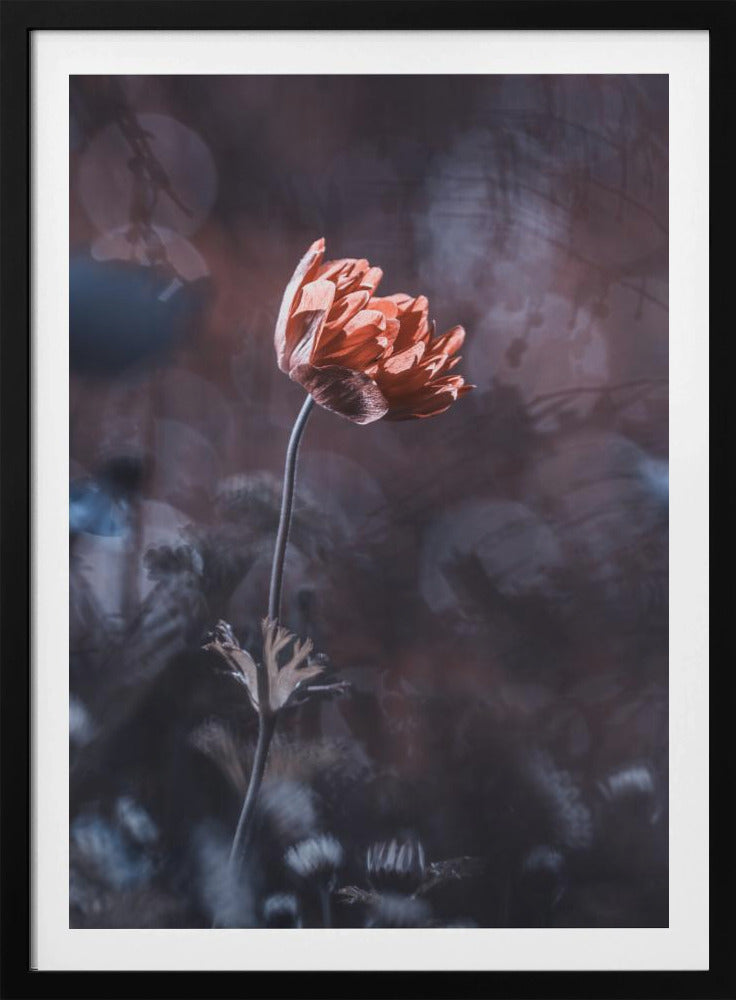 Eleganz | Poster