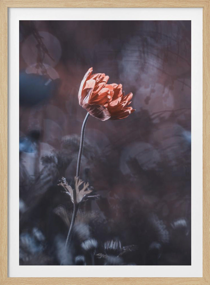 Eleganz | Poster