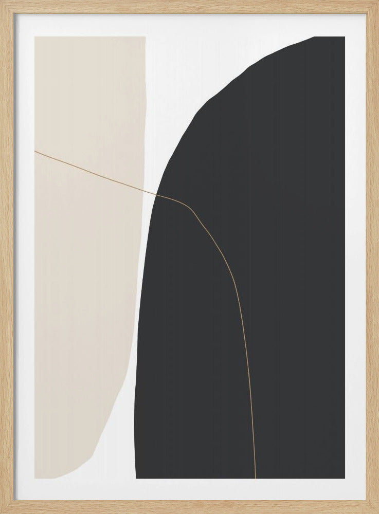 Delicate Curved Shapes | Poster