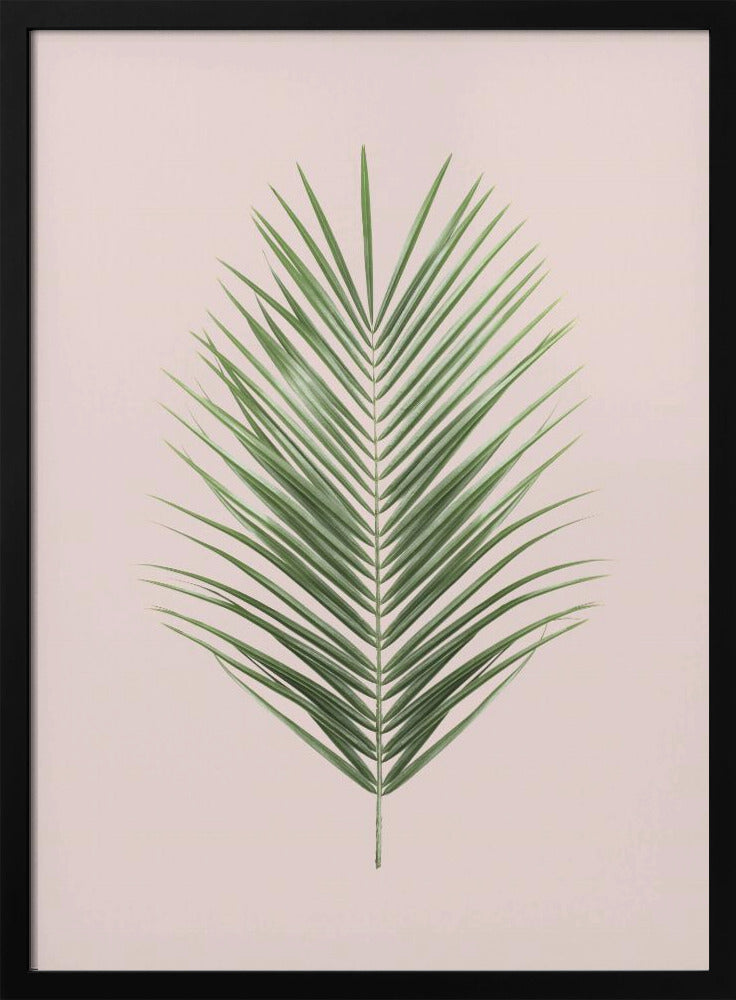 Palmblatt-Rouge | Poster