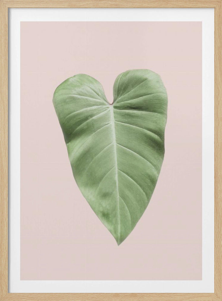 Tropisches Blatt-Rouge | Poster