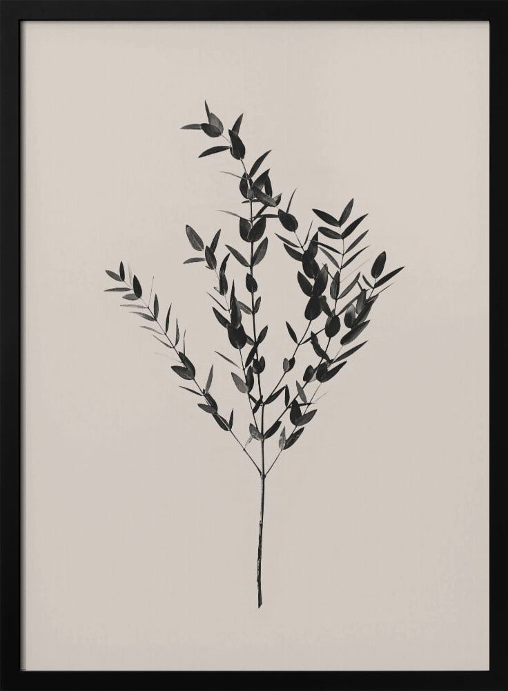 Tintenfarbenes Botanisches Poster