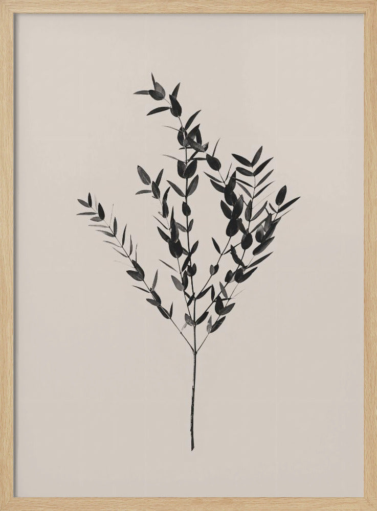 Tintenfarbenes Botanisches Poster