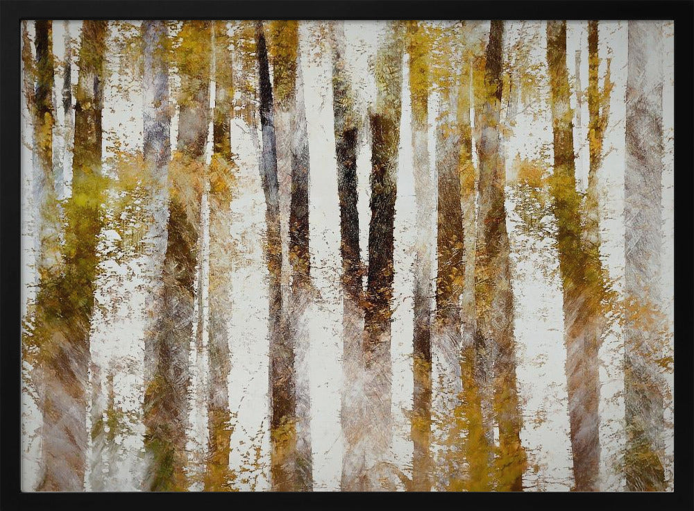 Buche im Herbst | Poster