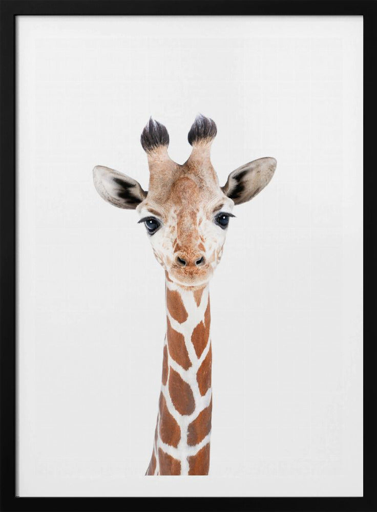 Baby-Giraffe | Poster