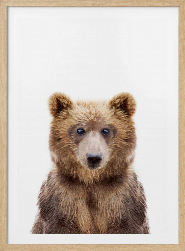 Babybär | Poster