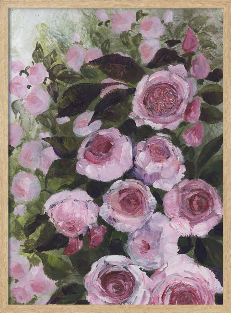 Aurorie malerische Rosen | Poster