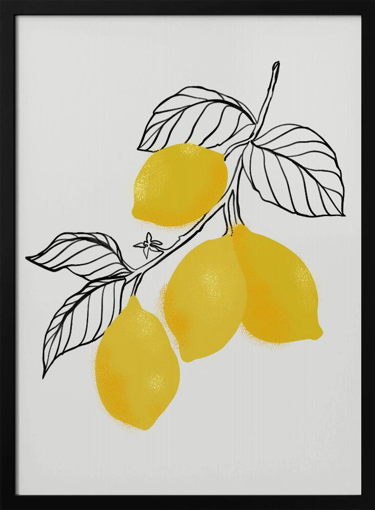 Lamya-Zitronen | Poster