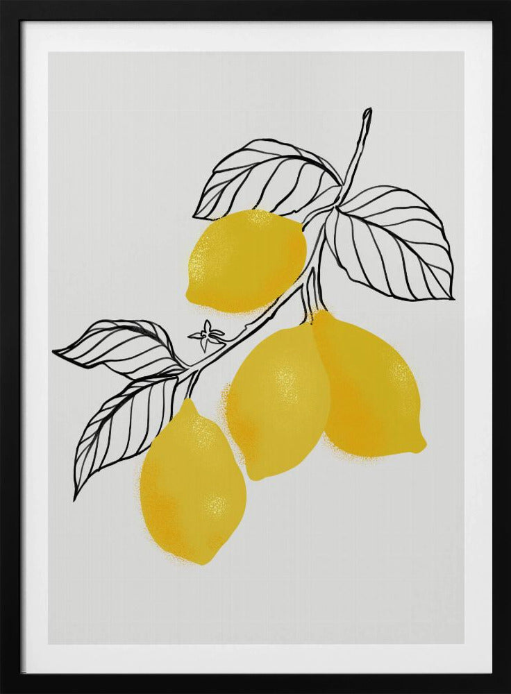 Lamya-Zitronen | Poster