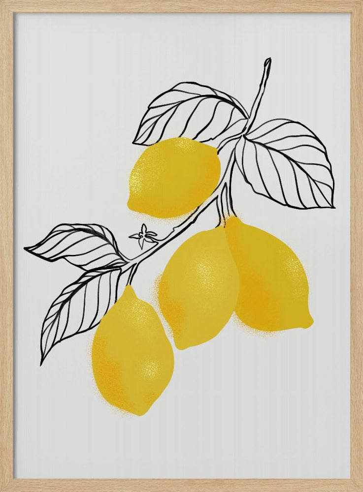 Lamya-Zitronen | Poster