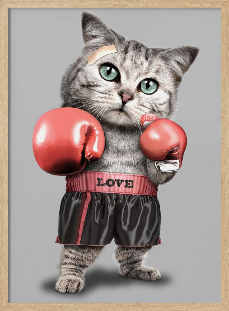 Boxende Katze | Poster
