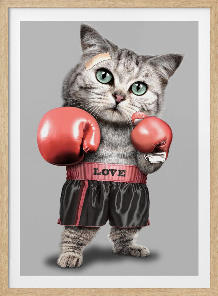 Boxende Katze | Poster