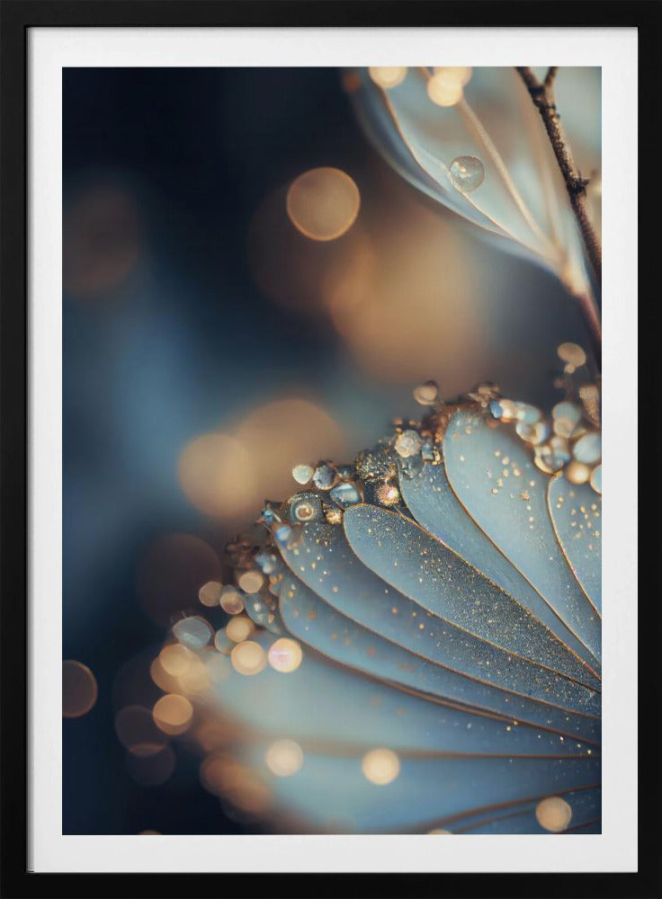 Taufrische Blütenblatt-Eleganz | Poster
