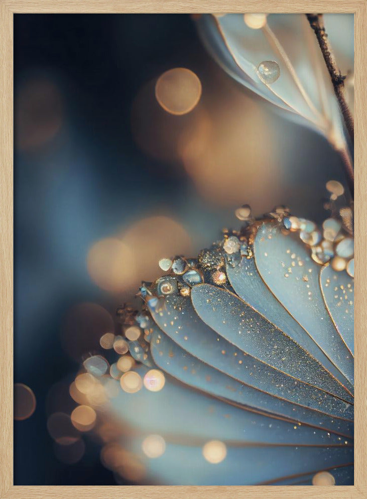 Taufrische Blütenblatt-Eleganz | Poster