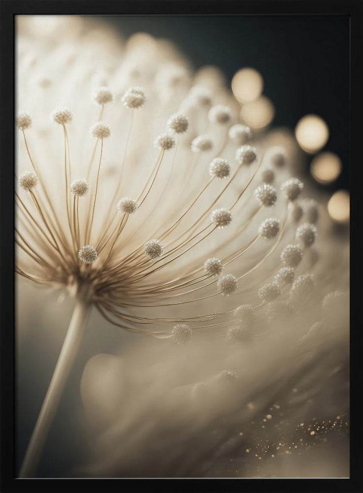 Flüsternde Samen | Poster
