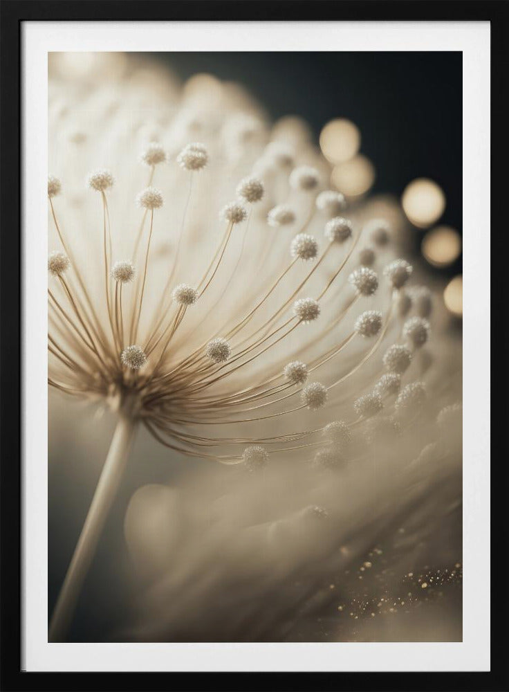 Flüsternde Samen | Poster