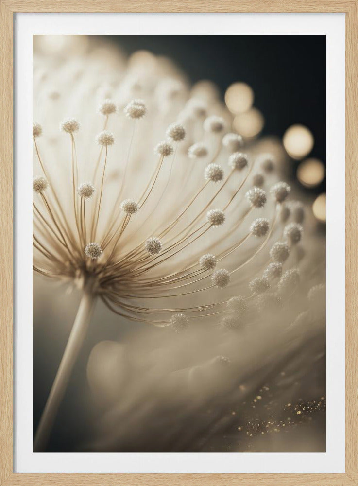 Flüsternde Samen | Poster