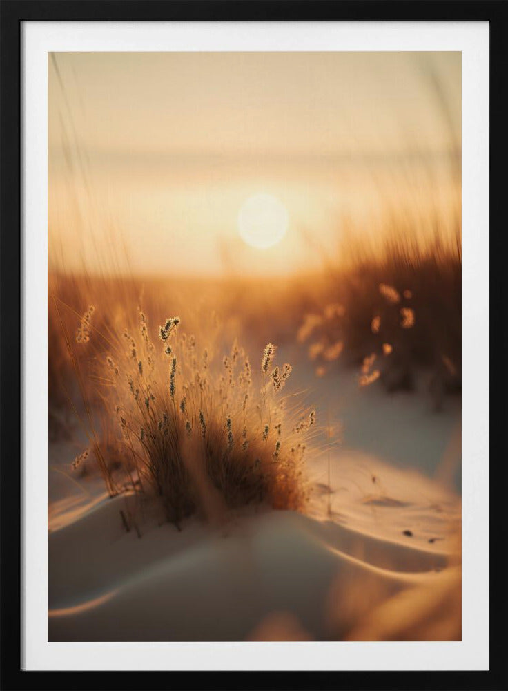 Goldenes Dünenflüstern | Poster