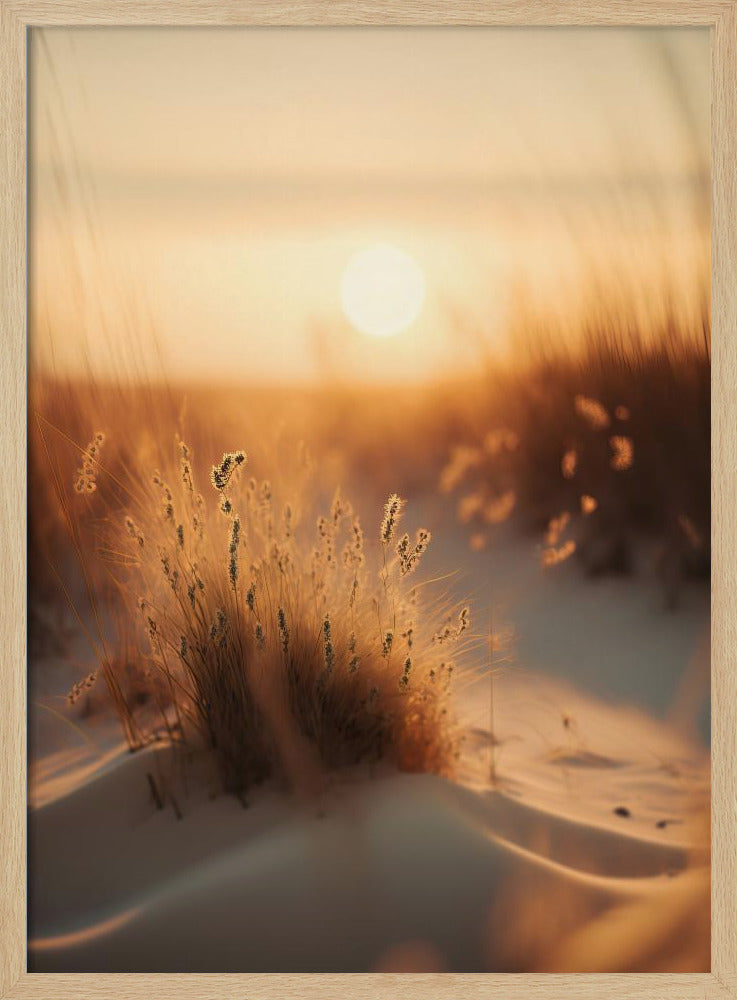 Goldenes Dünenflüstern | Poster