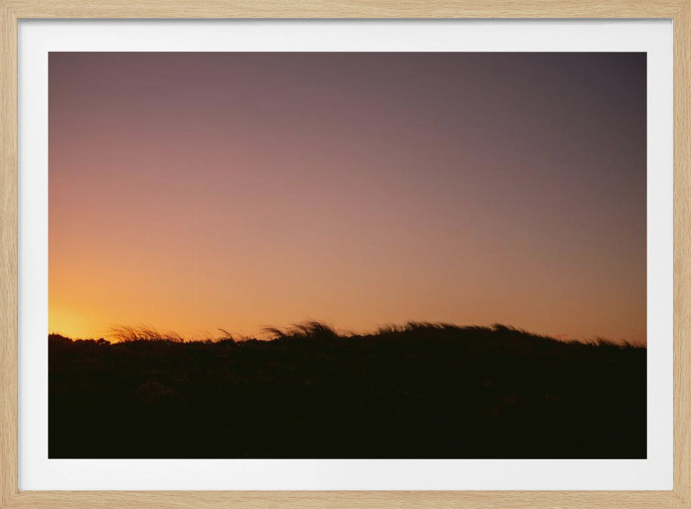 Dünengras Sonnenuntergang Horizontal | Poster