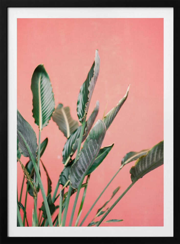 Südspanien 7 | Poster