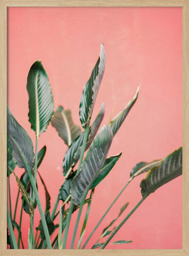 Südspanien 7 | Poster