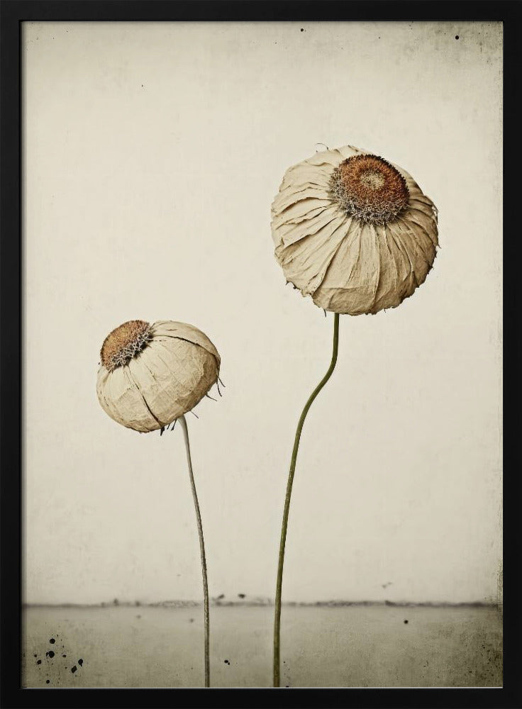 Flüsternde Blüten | Poster