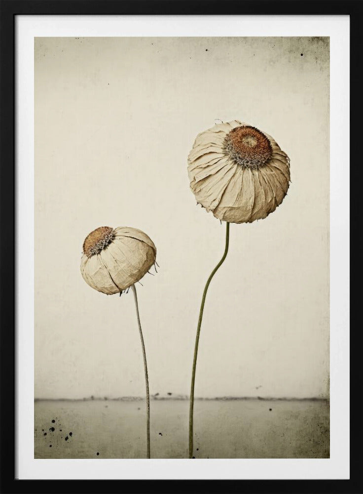 Flüsternde Blüten | Poster