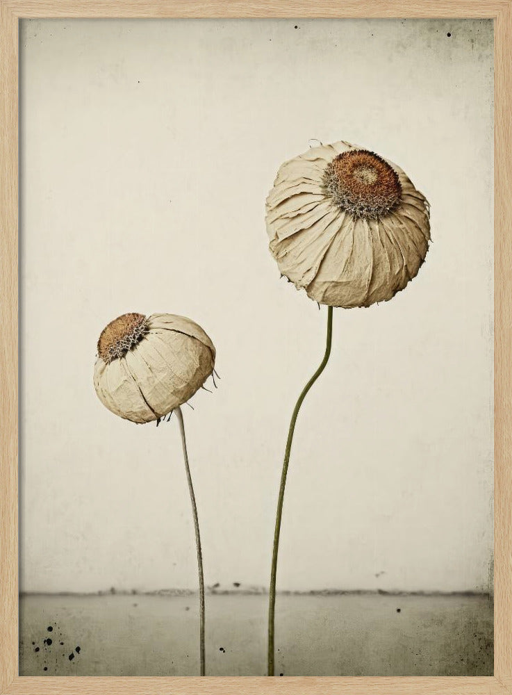 Flüsternde Blüten | Poster