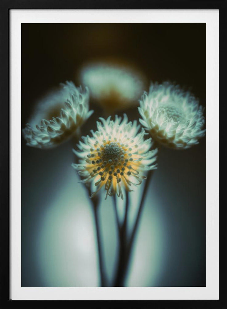 Ätherische Blüten | Poster