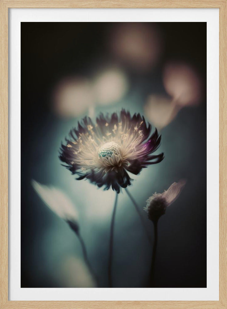 Ätherische Blüte | Poster