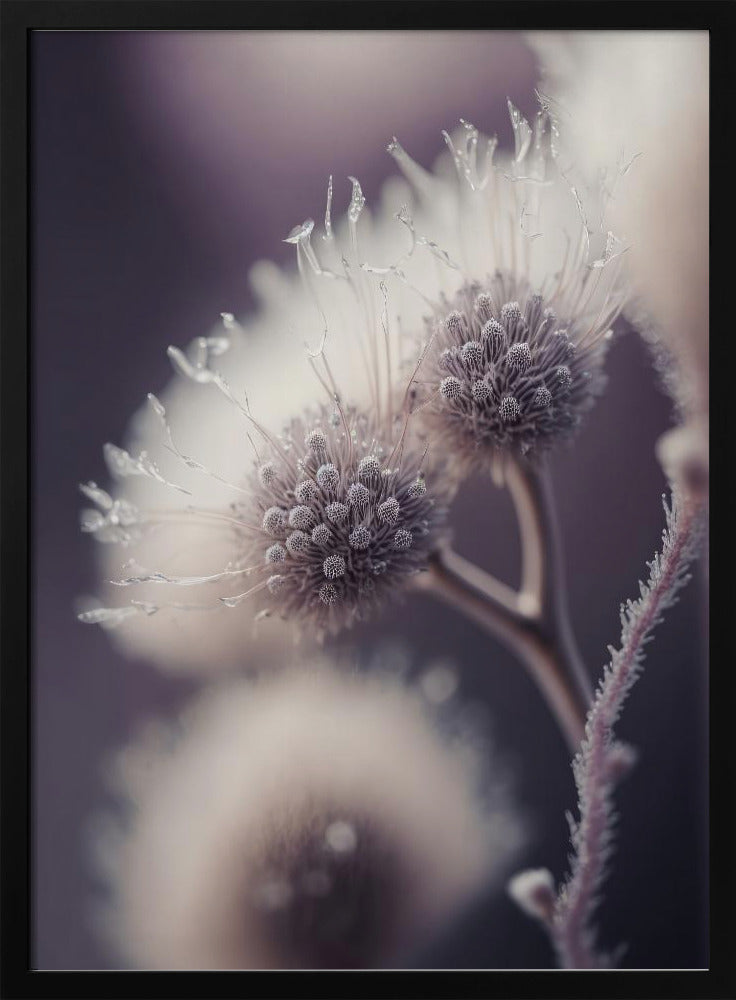 Ethereal Blooms | Poster