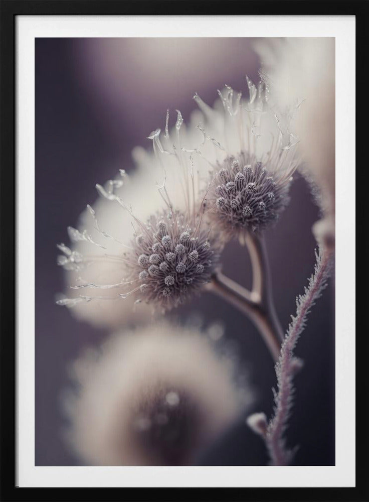 Ethereal Blooms | Poster