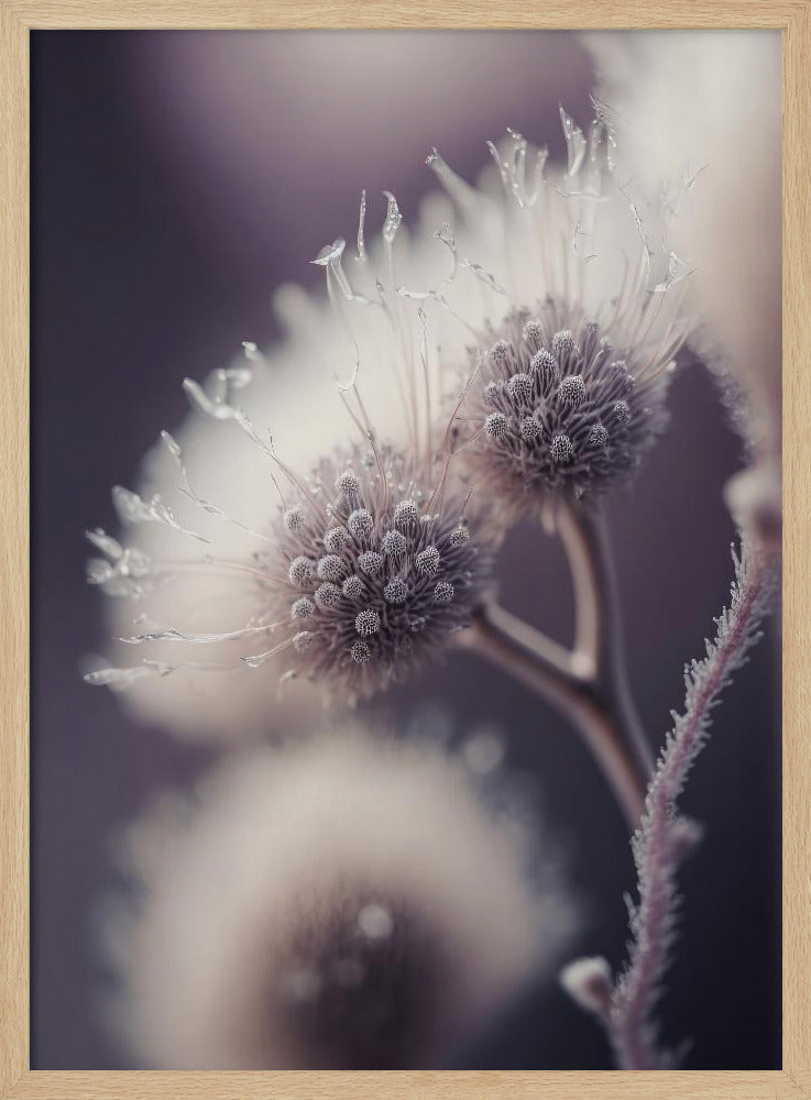 Ethereal Blooms | Poster