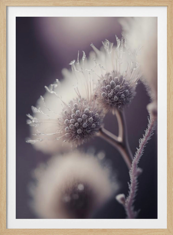 Ethereal Blooms | Poster