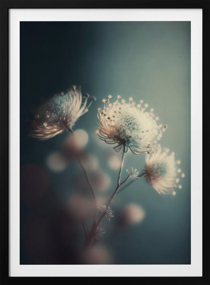 Ätherische Blüten | Poster