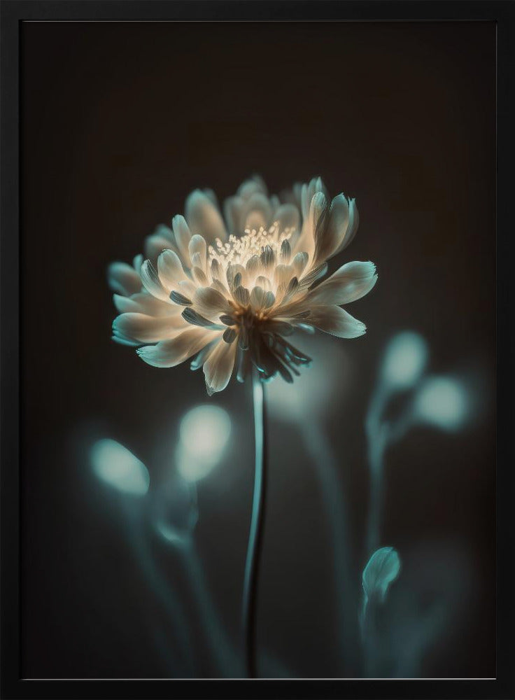 „Leuchtende Blüte“ | Poster