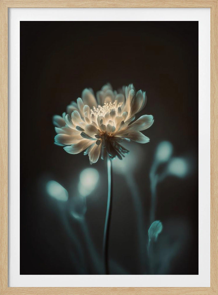 „Leuchtende Blüte“ | Poster