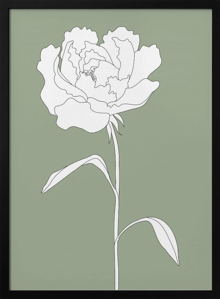 Rose in Grün | Poster