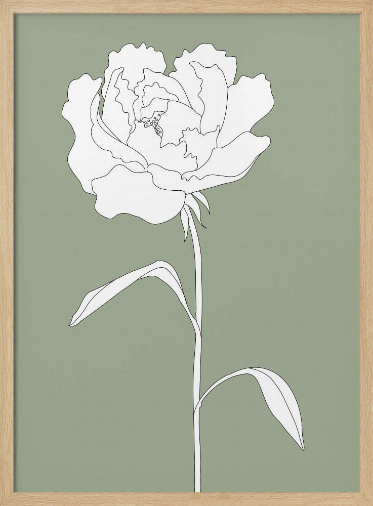 Rose in Grün | Poster