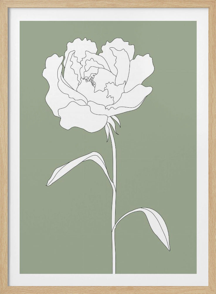 Rose in Grün | Poster