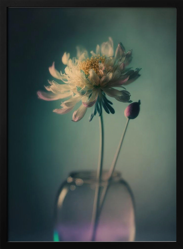 Ätherische Blüte | Poster