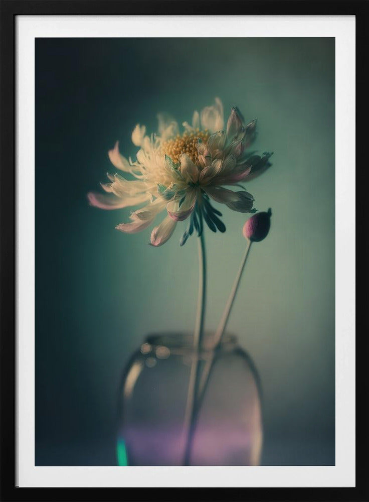 Ätherische Blüte | Poster