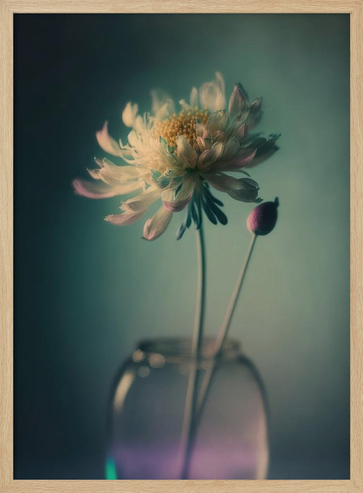Ätherische Blüte | Poster
