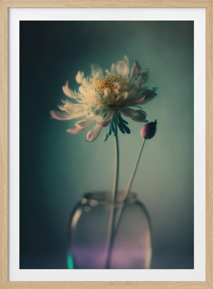 Ätherische Blüte | Poster