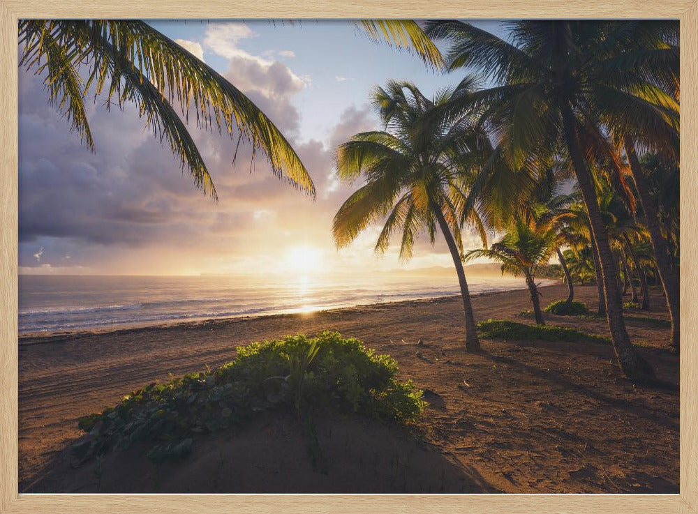 Guten Morgen Paradies | Poster