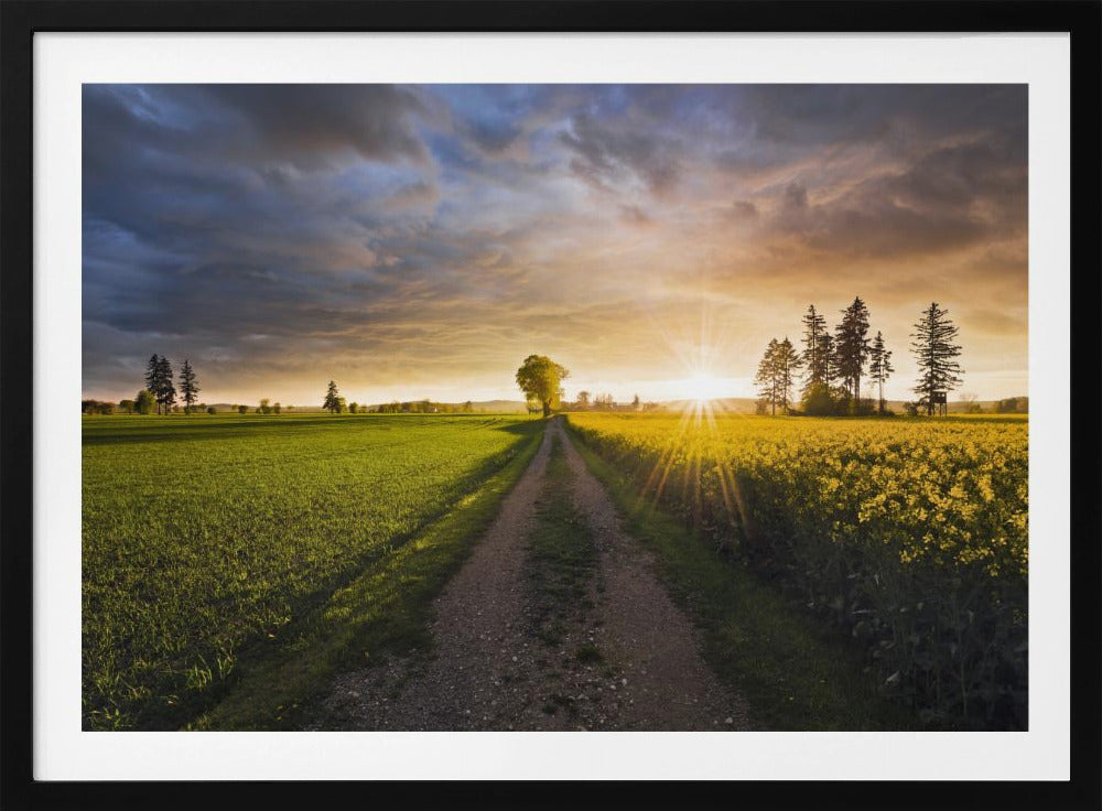 Sommerwiese | Poster