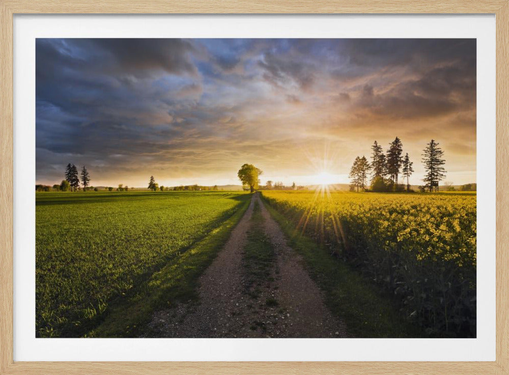 Sommerwiese | Poster