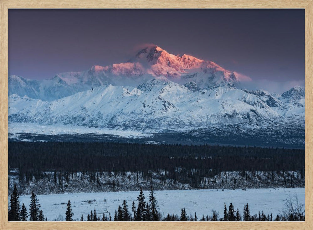 Denali-Berg | Poster